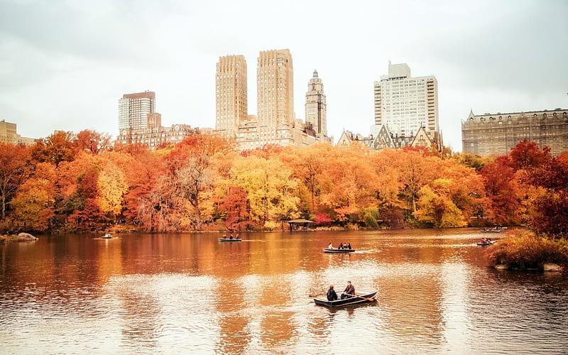 Central Park,New York, building, autumn, boat, nature, park, trees, lake, HD wallpaper