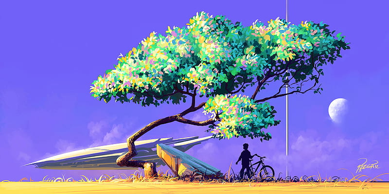 Artistic Nature View Bicycle , bicycle, tree, artist, artwork, digital-art, HD wallpaper