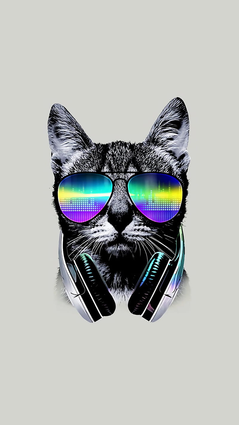 Hipster, android, animal, apple, cat, crazy, funny, galaxy, glass,  headphone, HD phone wallpaper | Peakpx