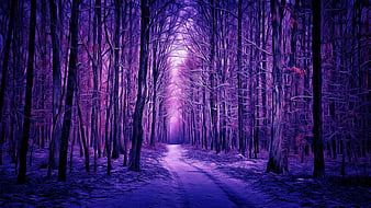 Bức tranh đường rừng tím HD nền hình sẽ khiến bạn chìm đắm trong không gian thơ mộng cùng với ánh nắng lãng mạn. Hãy để hình ảnh này thổi bay mọi mệt mỏi và làm mới tinh thần của bạn.