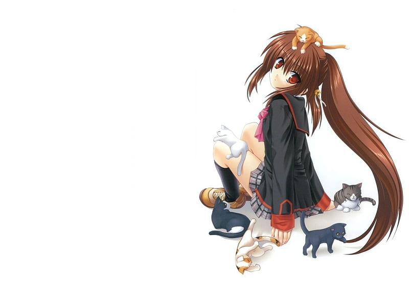 Kitty Cat, female, brown hair, kitty, cat, plain, cute, kawaii, girl, anime,  HD wallpaper | Peakpx