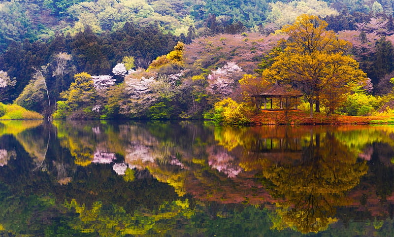 Color Reflections, forest, reservoir, bonito, Korea, spring, trees, lake, water, mountains, tranquility, HD wallpaper
