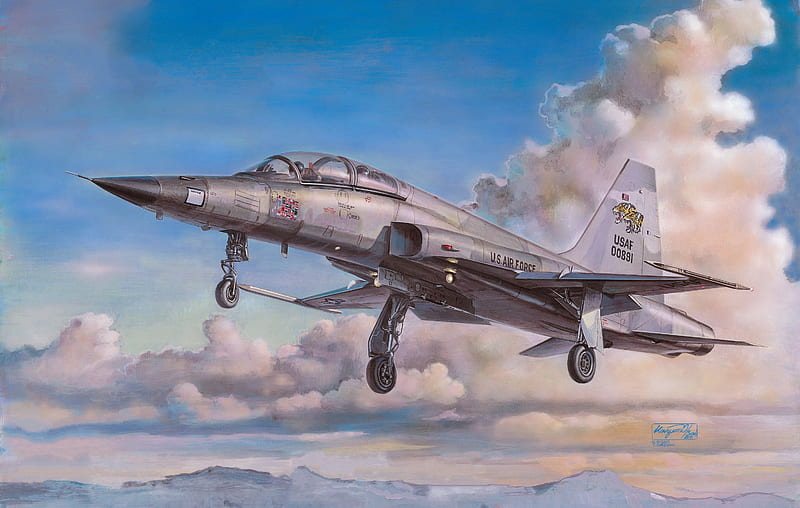 Jet Fighters, Northrop F-5, Aircraft, Jet Fighter, Warplane, HD wallpaper