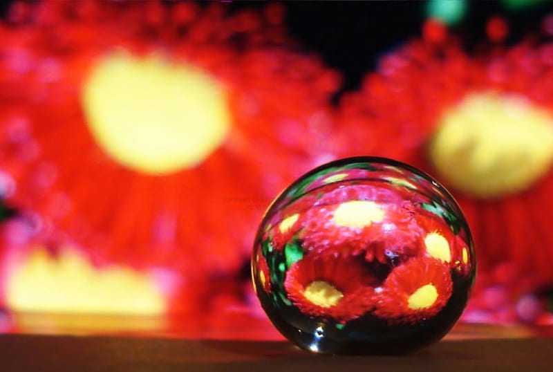Gel Ball Reflection, flower, ball, abstract, gel, HD wallpaper