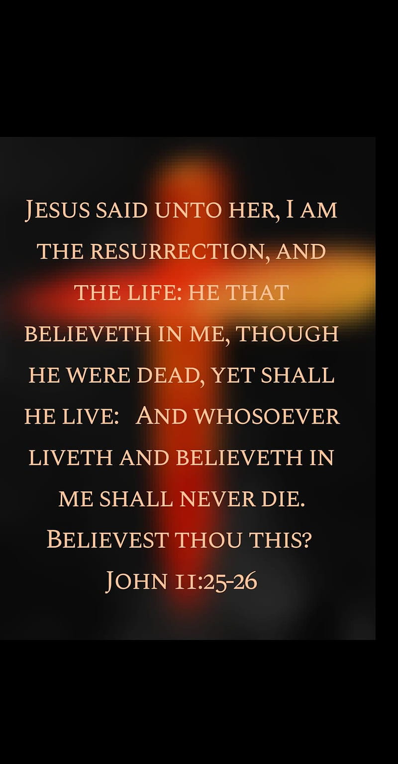 John 11 25, bible, cross, kjv, quote, scripture, HD phone wallpaper