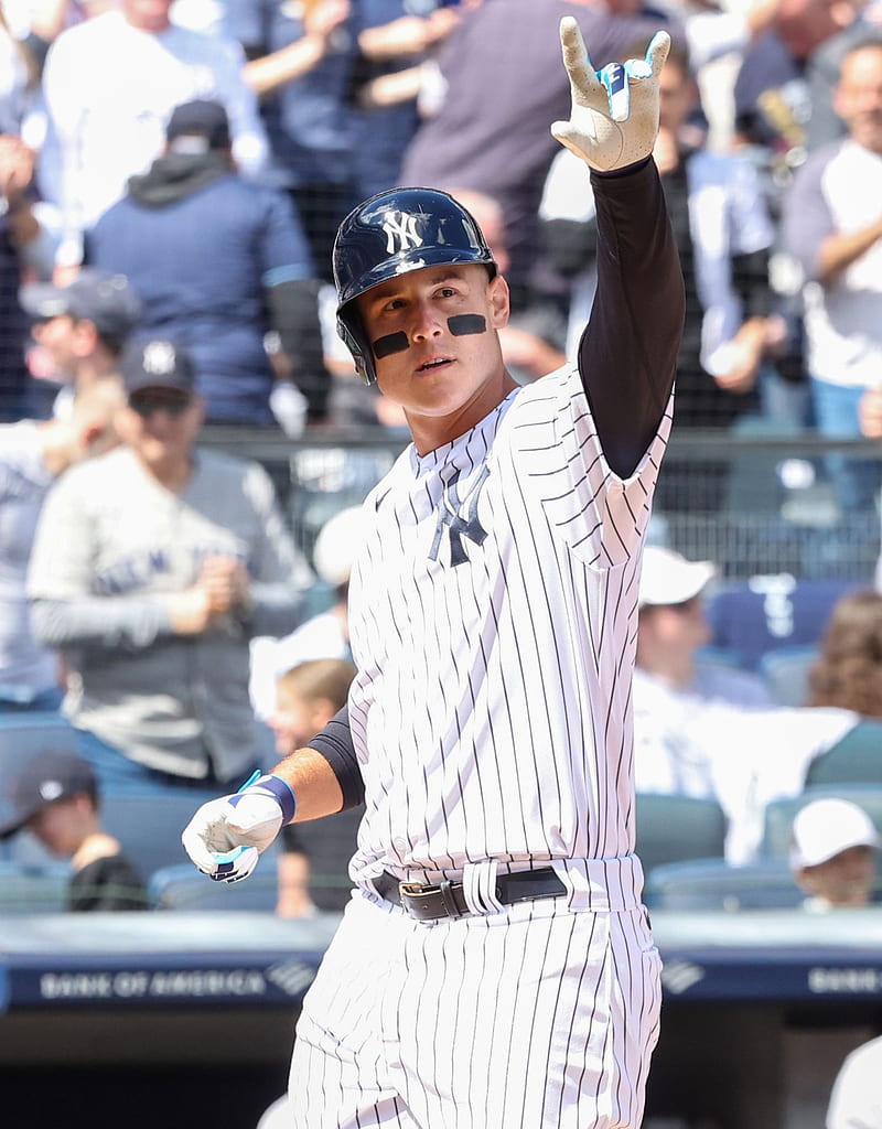 The extreme attention must be affecting Aaron Judge as he chases 62   Pinstripe Alley