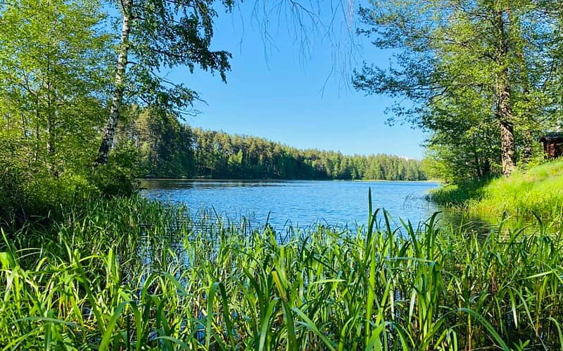 Lake in Latvia, Latvia, nature, green, lake, HD wallpaper
