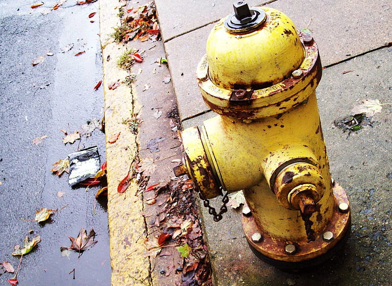 Yellow Hydrant, yellow, fire, sidewalk, hydrant, HD wallpaper