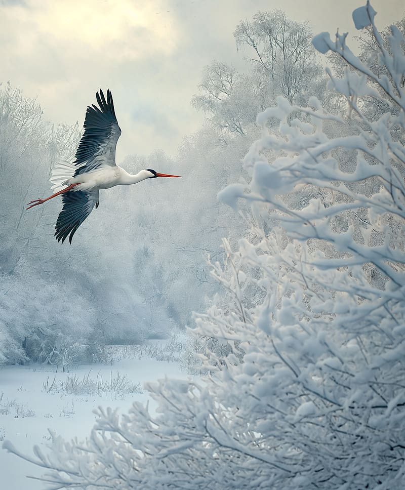 white stork, stork, bird, snow, winter, trees, HD phone wallpaper