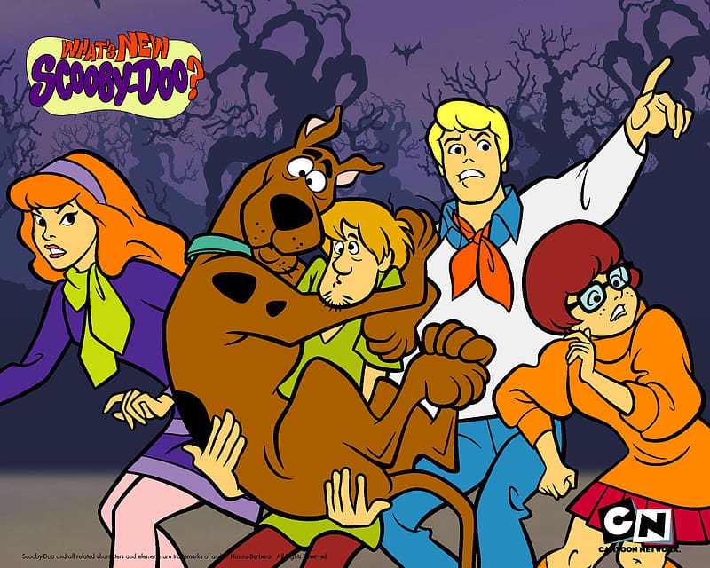 Tv Show, Scooby Doo, Daphne Blake, Fred Jones, Shaggy Rogers, Velma Dinkley, Scooby Doo (Cartoon), HD wallpaper
