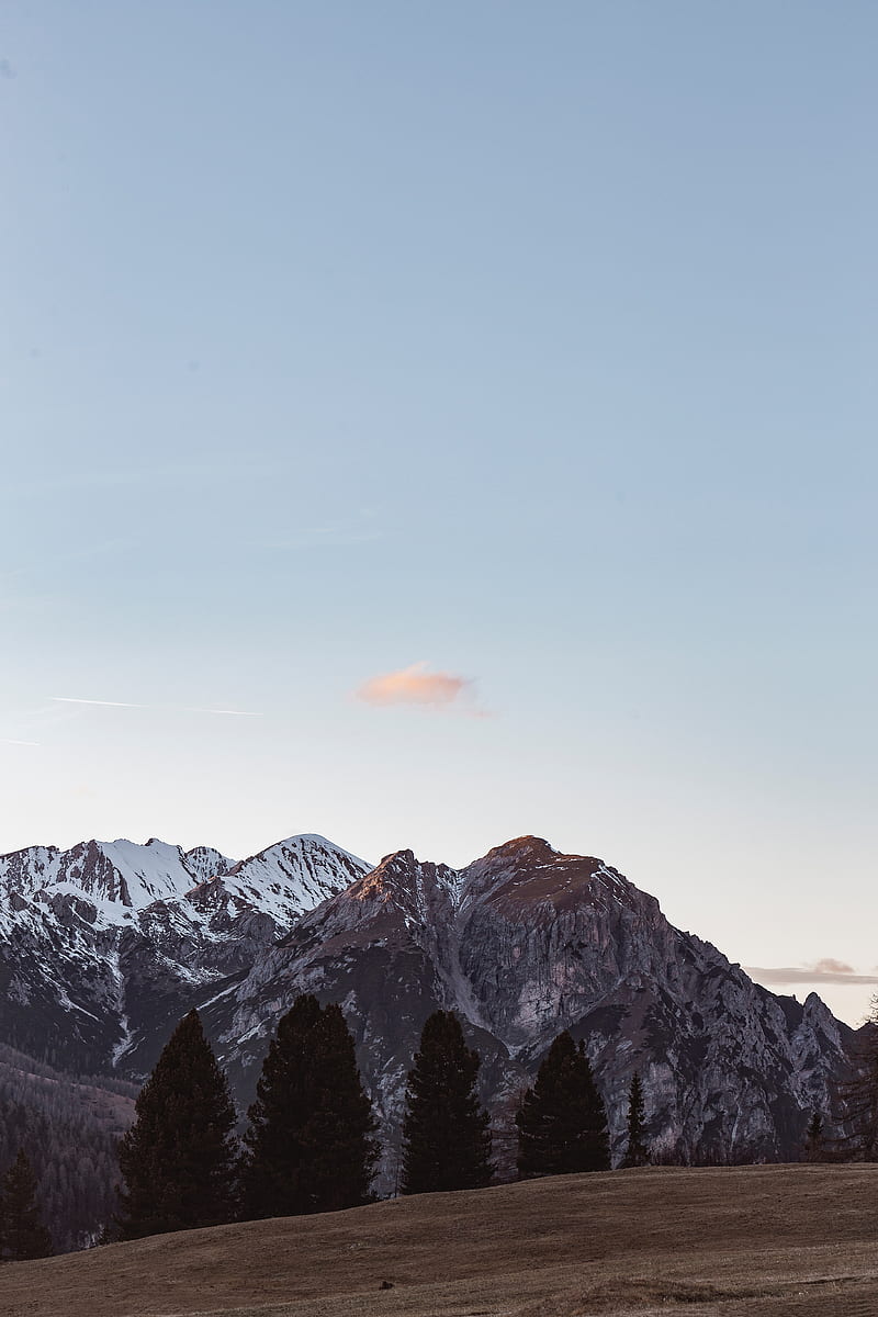 mountains, trees, peaks, snowy, landscape, HD phone wallpaper