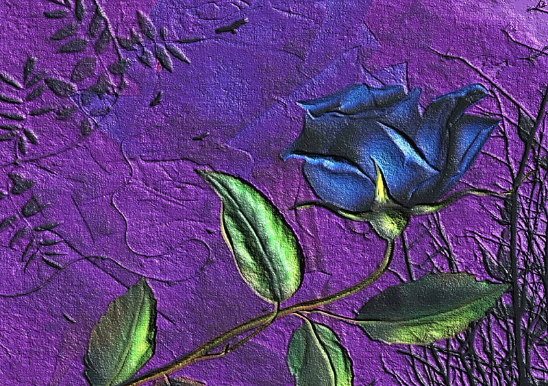 JoAne's Blue rose, purpel backround, blue rose, painter11, joane, HD wallpaper