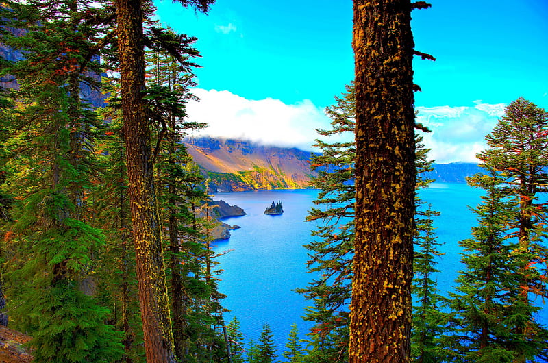VIEW of CRATER LAKE, USA, Lake, Tree, National Parks, Trunk, Crater, Nature, HD wallpaper