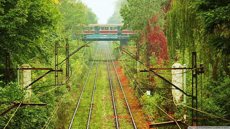 train passing over train tracks, train, trees, tracks, overpass, HD wallpaper