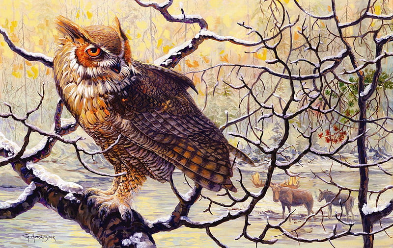 Owl in winter, tree, bird, painting, raptor, branches, deer, HD wallpaper