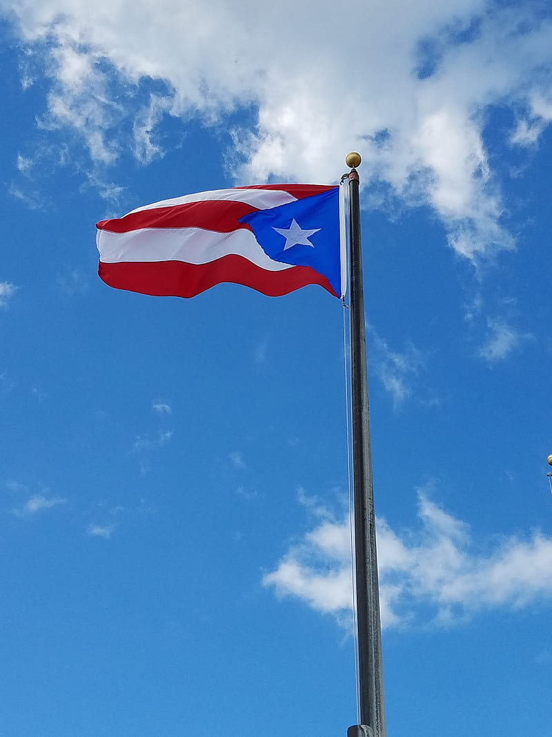 Puerto Rico Flag, pr, puerto rico, HD phone wallpaper
