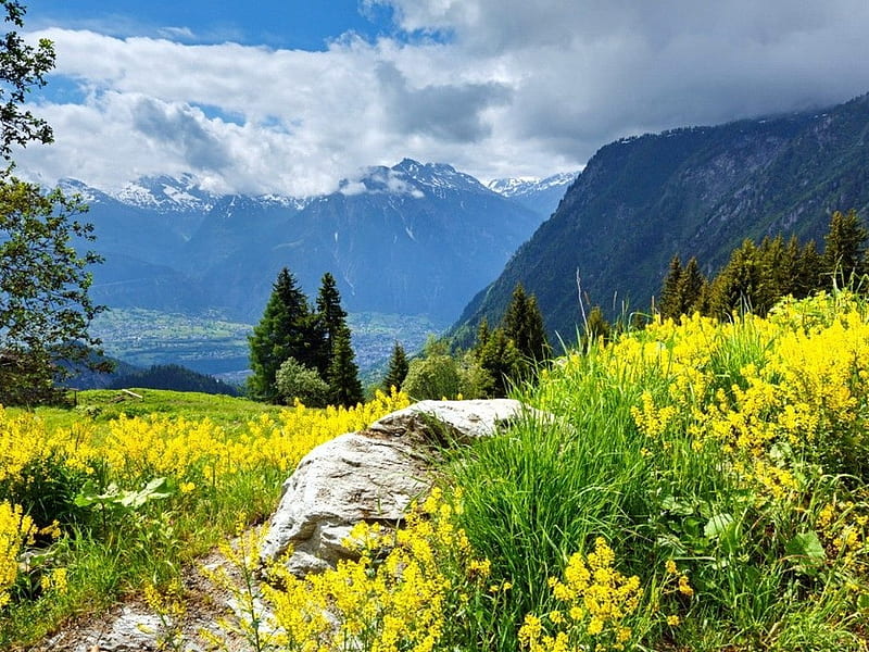 Mountain Landscape, greenery, sky, alpine, valley, mountain, peak, slope, nature, field, meadow, HD wallpaper