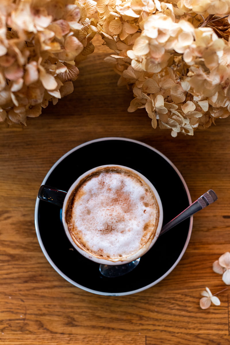 coffee, cappuccino, foam, cup, drink, dried flower, HD phone wallpaper