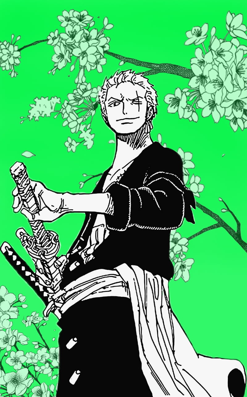 ℝ𝕠𝕣𝕠𝕟𝕠𝕒 ℤ𝕠𝕣𝕠  Aesthetic anime, Manga anime one piece, Zoro one  piece