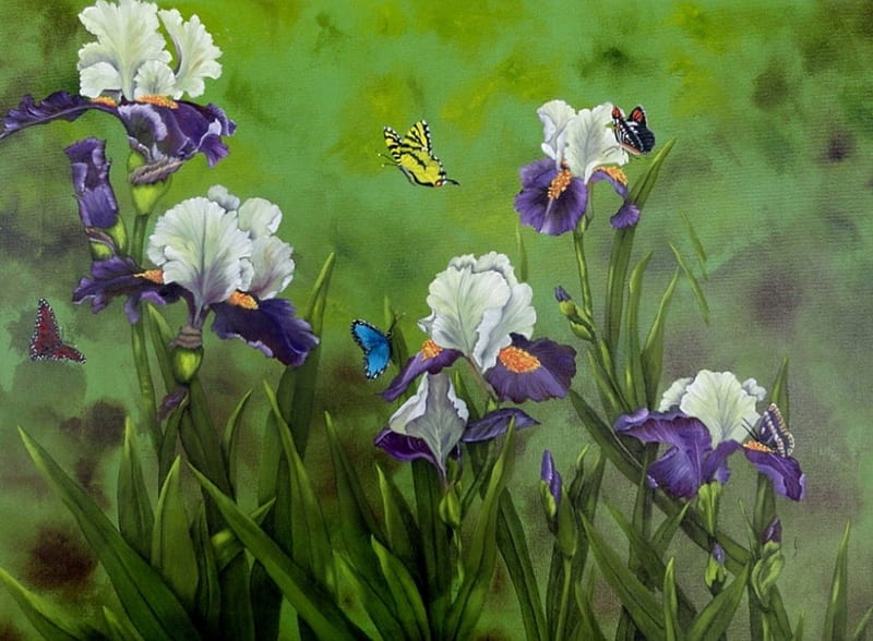 Butterflies in the Iris, art, Butterflies, Iris, flowers, field, HD