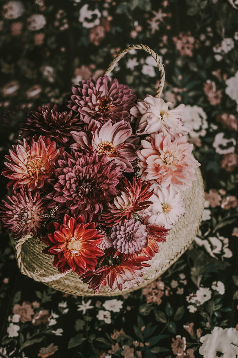 flowers, basket, bouquet, composition, autumn, HD phone wallpaper