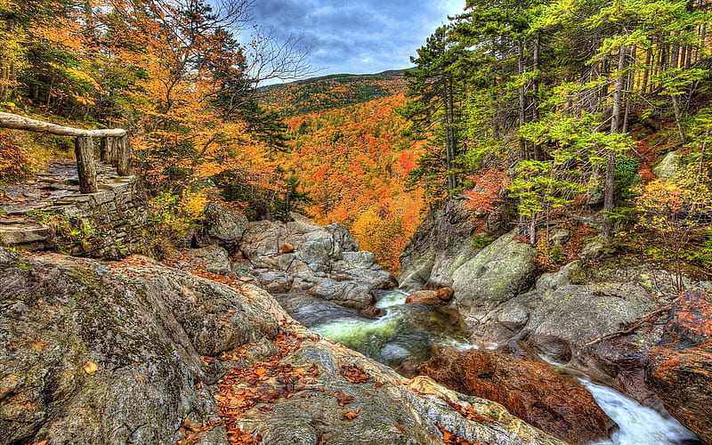 Rocks stream in autumn, stream, fall, rocks, autumn, shore, falling ...