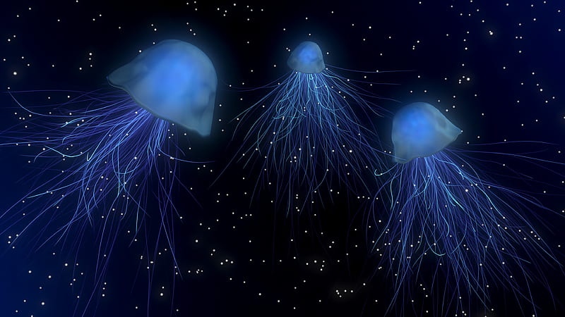 Jellyfish Abstract, jellyfish, abstract, HD wallpaper