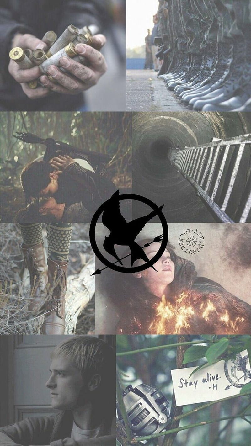 Katniss, hug, hunger games, moking jay, HD phone wallpaper | Peakpx