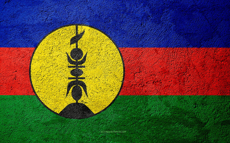 Flag of New Caledonia, concrete texture, stone background, New Caledonia flag, Oceania, New Caledonia, flags on stone, HD wallpaper