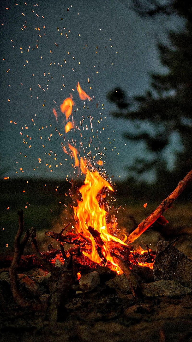 Fire flame, forest, winter, HD phone wallpaper