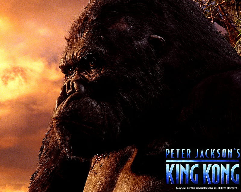 Peter Jackson's King Kong, hollywood, ape, cinema, peter jackson, king  kong, HD wallpaper | Peakpx