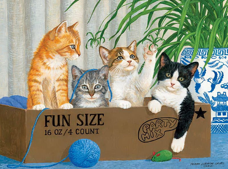 Fin size, house, fluffy, box, bonito, adorable, sweet, painting, size, kitties, room, friends, playing, art, kittens, pets, cute, yarn, flower, cats, HD wallpaper