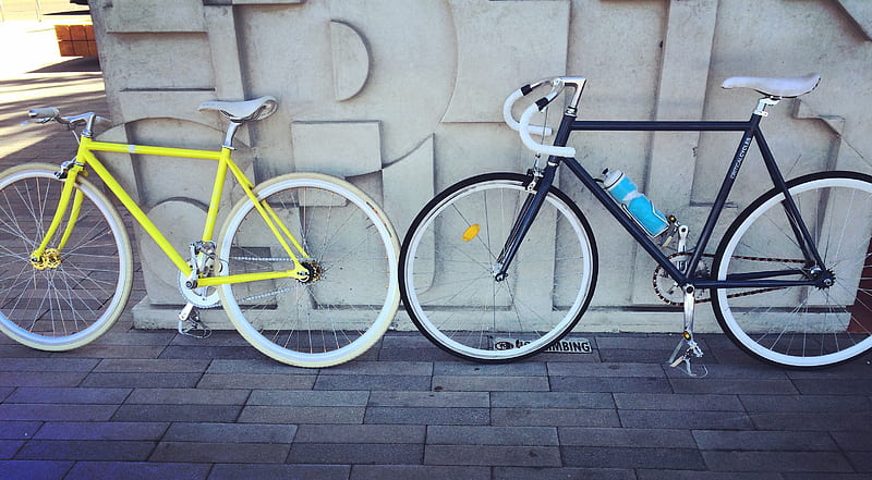 two fixie bicycles beside each other, HD wallpaper