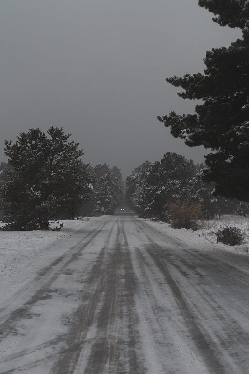 road, trees, snow, snowy, winter, HD phone wallpaper