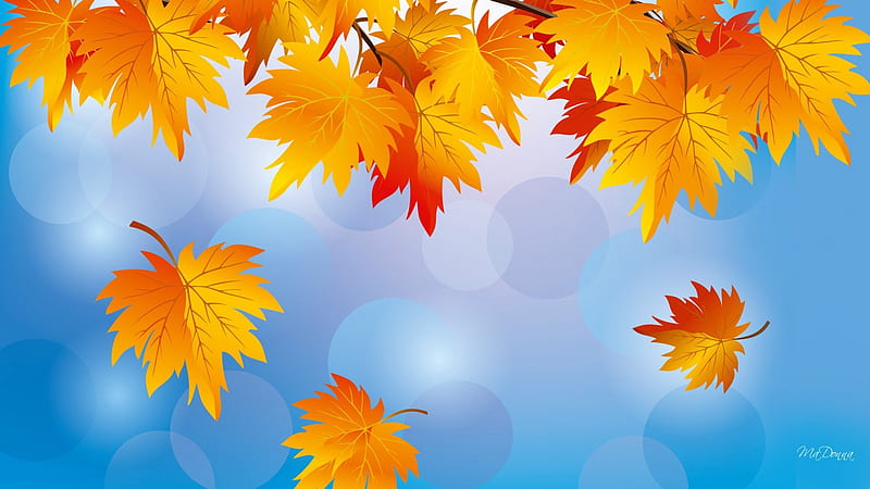 Sunny Fall Morning, fall, Bokeh, autumn, orange, maple, sky, leaves, gold, bright, light, blue, HD wallpaper