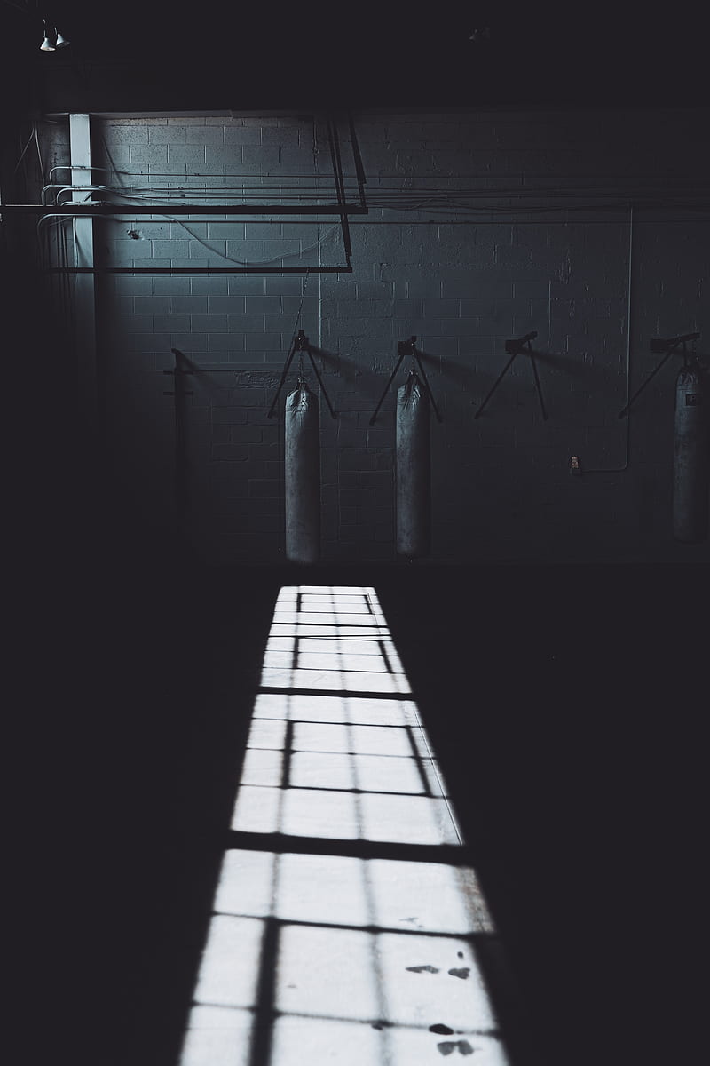 Punching Bag Photos Download The BEST Free Punching Bag Stock Photos  HD  Images