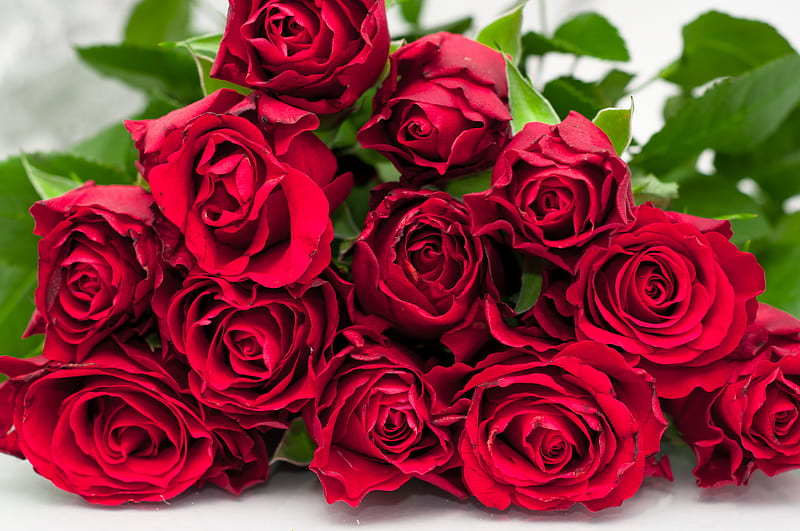 Bouquet, red, rose, bonito, roses, elegantly, leaves, graphy, nice ...