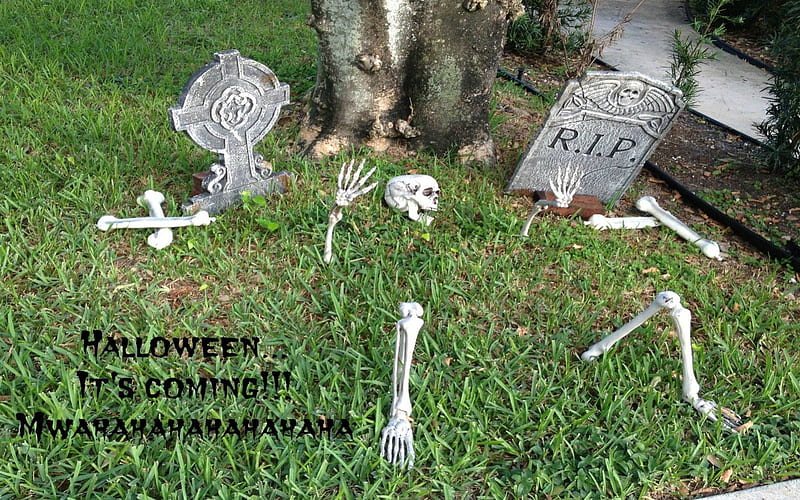 Halloween's Comin', holidays, humor, r i p, halloween, headstones, funny, skeletons, HD wallpaper