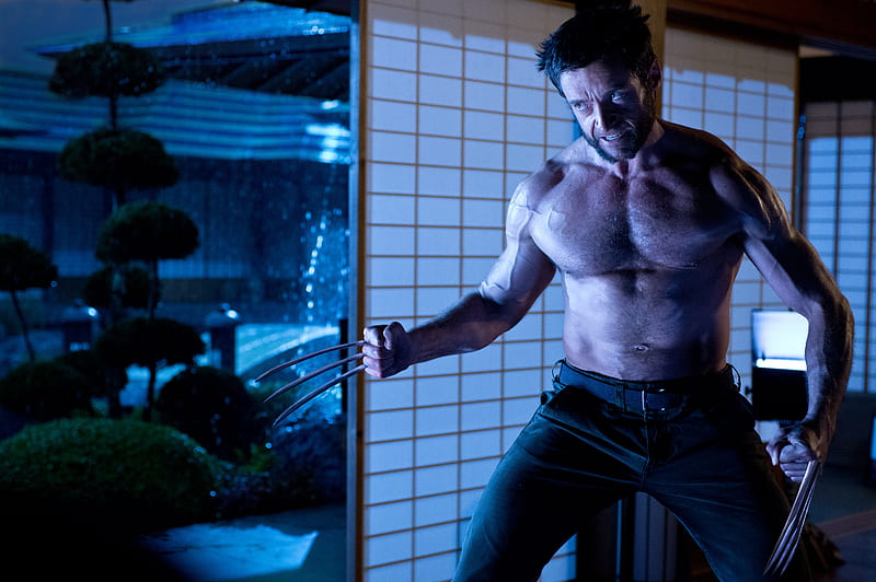 Hugh Jackman Wolverine, wolverine, movies, hugh-jackman, HD wallpaper