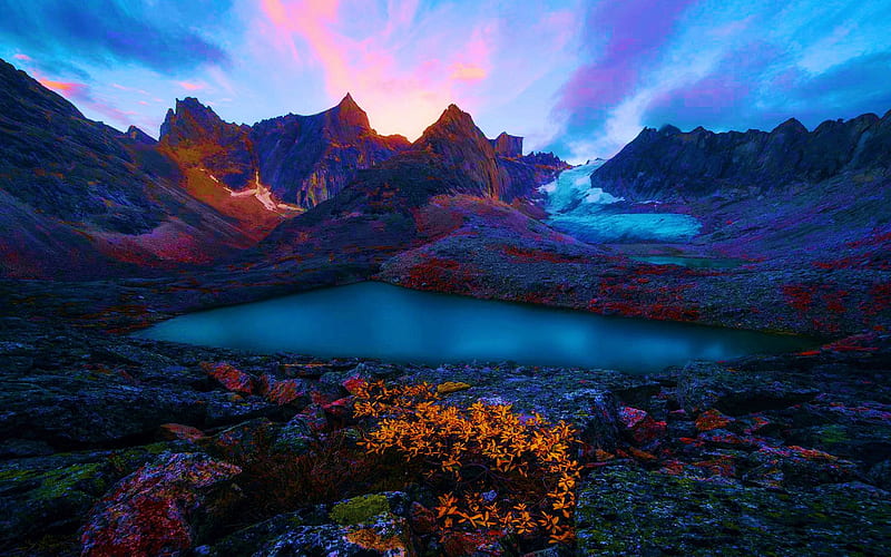 Arctic National Park in Alaska, sky, plant, lake, mountains, colors, HD wallpaper