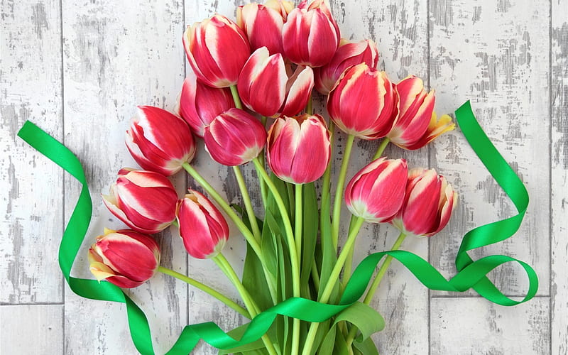 red flowers, march 8, tulips, red tulips, bouquet tulip, HD wallpaper