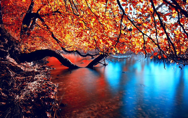 Simply Beautiful, fall, red, limb, pretty, colorful, autumn, autumn leaves, branch, nature, graphy, leaves, splendor, beauty, river, sagging, reflection, yelo, wood, blue, lovely, view, colors, trees, lake, tree, water, autumn colors, peaceful, nature, HD wallpaper