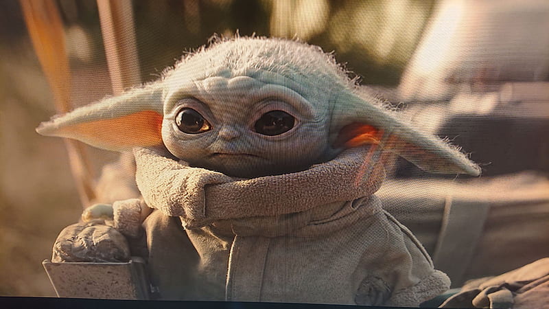 Baby Yoda, cuteness, movie, science fiction, star wars, HD wallpaper