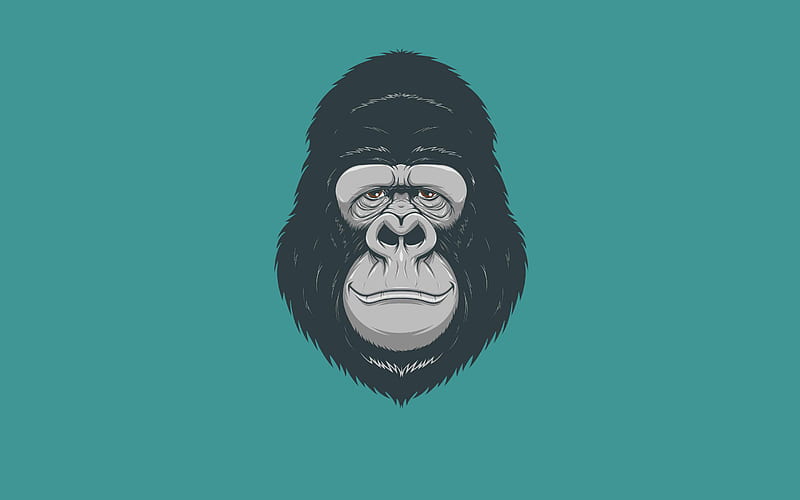 Monkey, gorilla, love, HD wallpaper | Peakpx