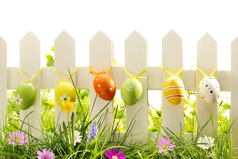 Easter Decoration, pretty, fence, colorful, holidays, decoration, Easter, special days, eggs, flowers, pastel, sunshine, HD wallpaper
