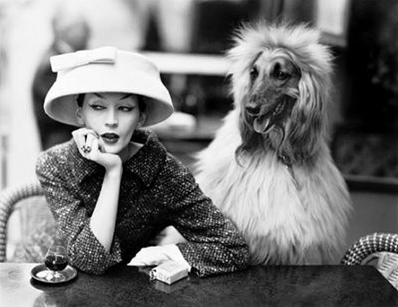 Cafe des Deux Magots, graphy, coffee, black and white, woman, dog, HD wallpaper