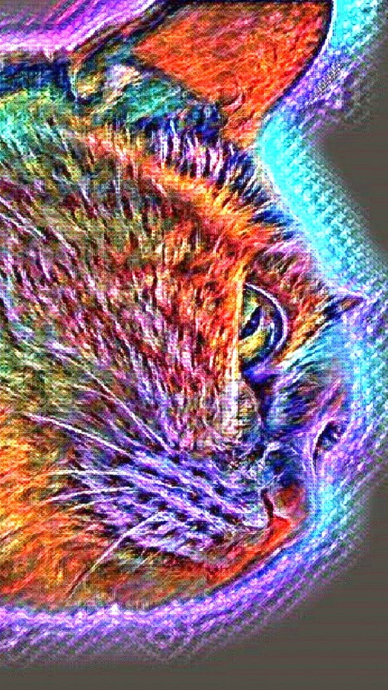 Glow Cat Face, cat, colors, cool, eyes, face, feline, fun, head, kitty, neon, rainbow, HD phone wallpaper