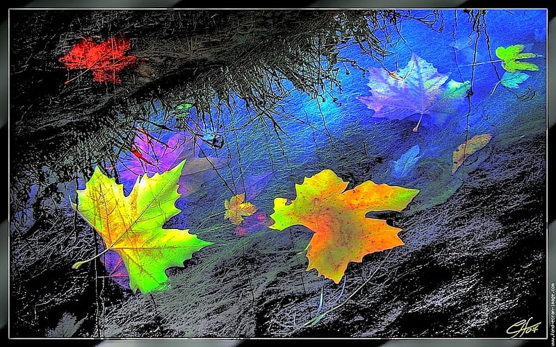 Modern autumn, fallen, red, leaves, water, green, yellow, floating, neon orange, HD wallpaper