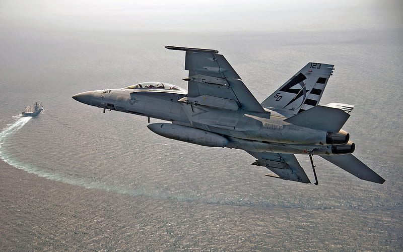 Grumman F-14 Tomcat, US Air Force, jet fighter, deck aircraft, USA, aircraft carrier, F-14, military aircraft, HD wallpaper
