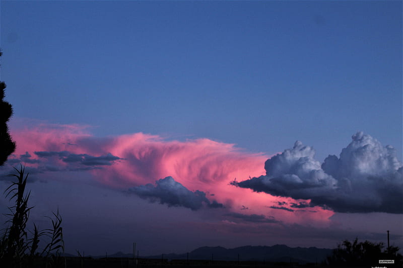 Cotton Candy Clouds, natural, pink, blue, purple, pahrump, nv, desert, landscape, summer, HD wallpaper